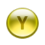 Y Button